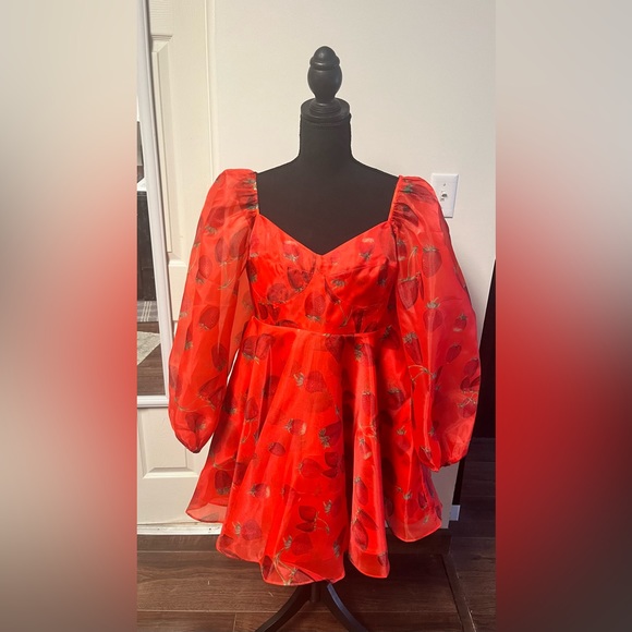 Selkie Dresses Selkie Like Strawberries Princess Dress Poshmark